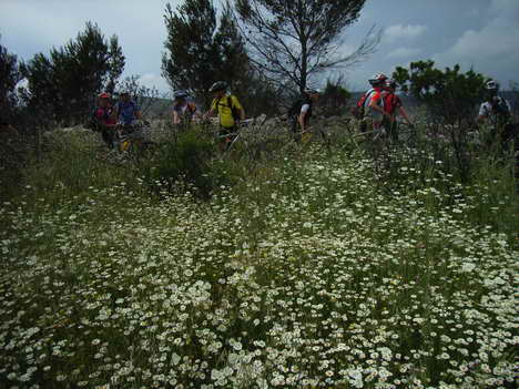 Gargano o8 227.jpg